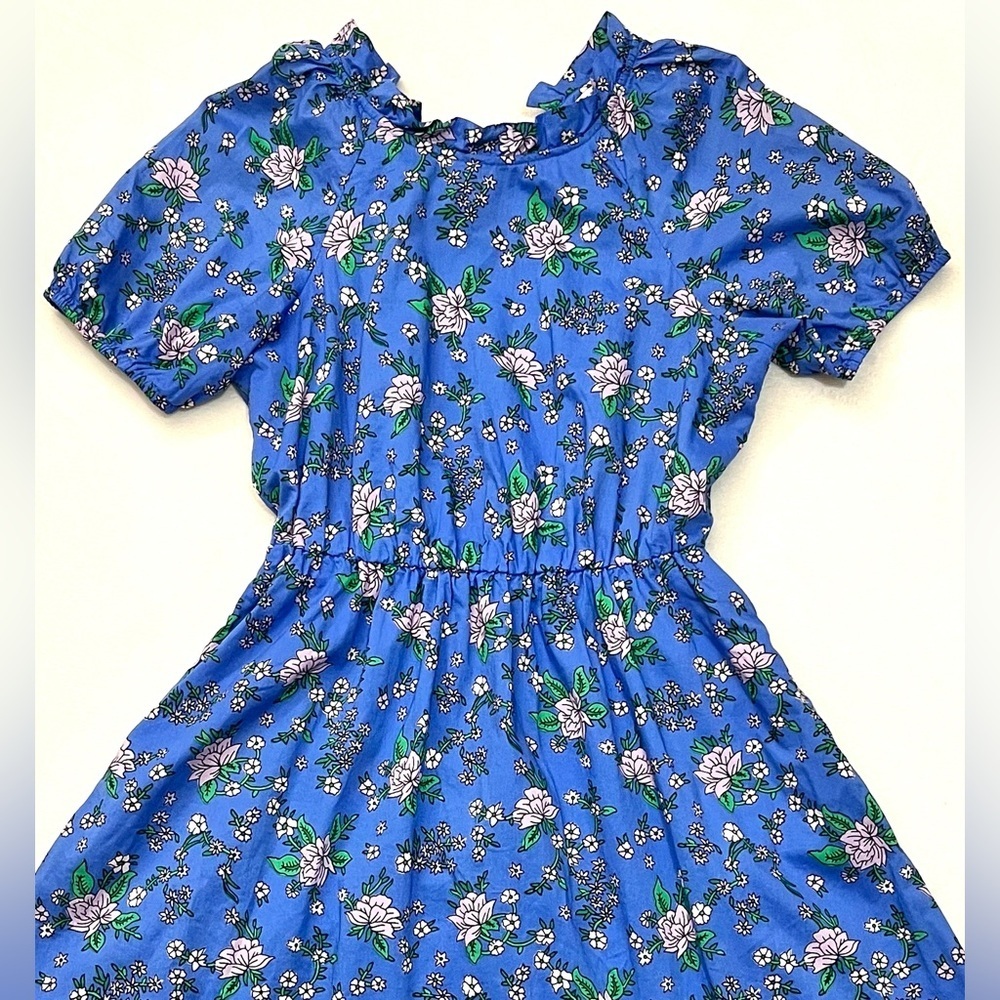 J. Crew Women’s Coastal Blue Tieback Short Sleeve Mini Floral Dress with Ruffle - Picture 2 of 16